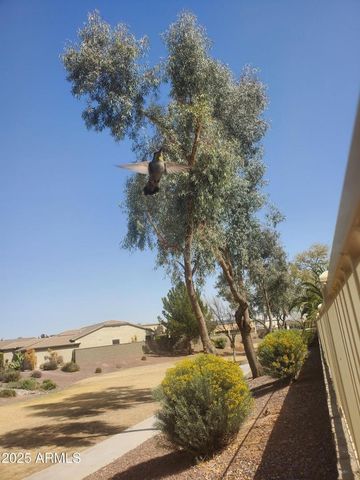 18188 W Paradise Lane, Surprise, AZ 85388