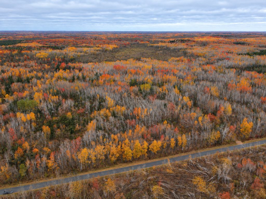 TBD Swedish Highway, Dairyland, WI 54830 — photo 2