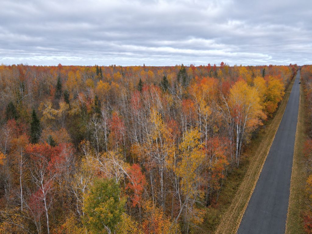 TBD Swedish Highway, Dairyland, WI 54830 — photo 3