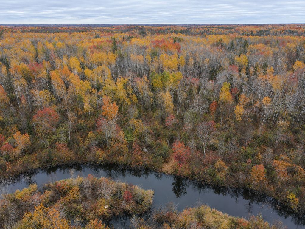 TBD Swedish Highway, Dairyland, WI 54830 — photo 4