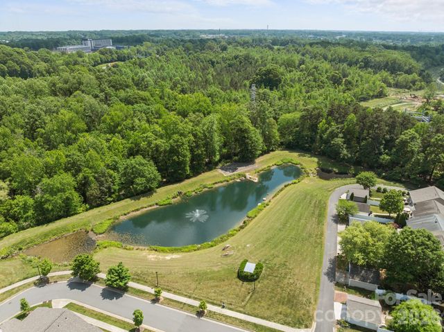 17257 Doe Valley Court, Cornelius, NC 28031