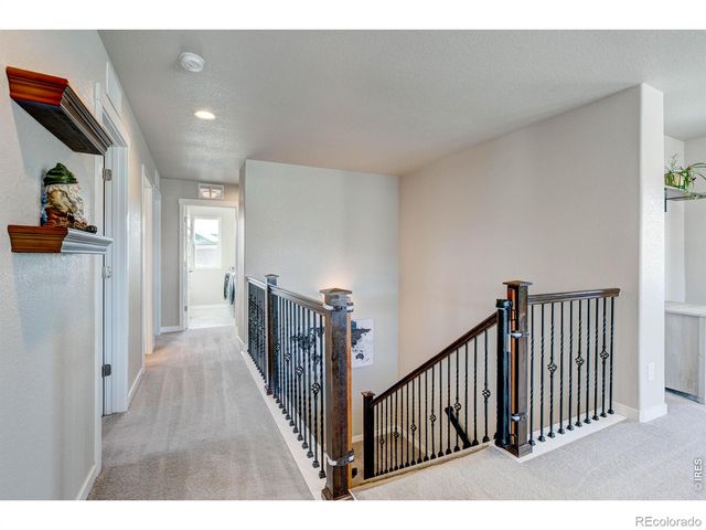 2137 Honeybee Drive, Windsor, CO 80550