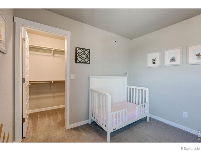 2137 Honeybee Drive, Windsor, CO 80550