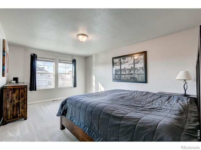 2137 Honeybee Drive, Windsor, CO 80550