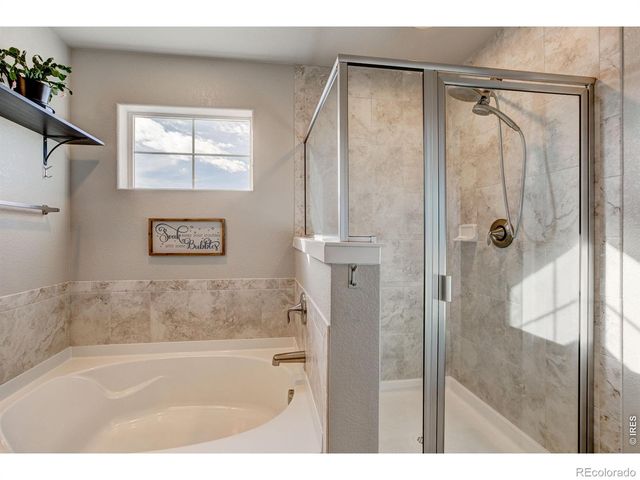 2137 Honeybee Drive, Windsor, CO 80550