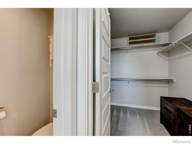 2137 Honeybee Drive, Windsor, CO 80550