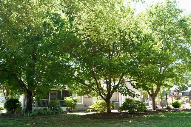 305 E Prince Road, Landrum, SC 29356
