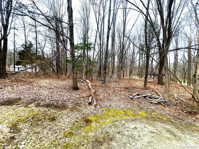 88 W Pine Road, Staatsburg, NY 12580