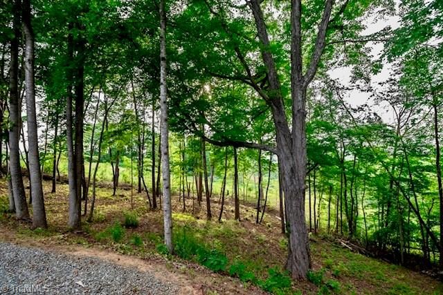 1779 Mountainview Road, King, NC 27021