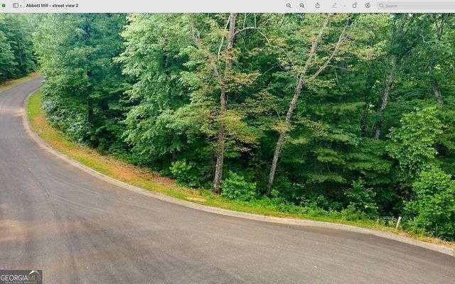 0 Abbott Mill Road, Ellijay, GA 30540