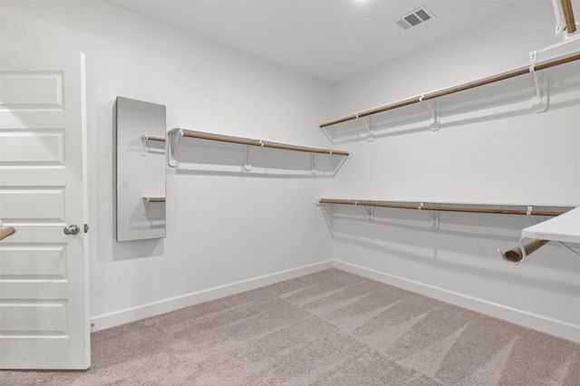 16901 Christina Garza DR, Manor, TX 78653