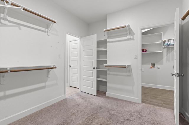 16901 Christina Garza DR, Manor, TX 78653