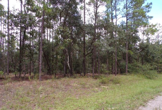 6501 N WINLOCK TERRACE, Dunnellon, FL 34433