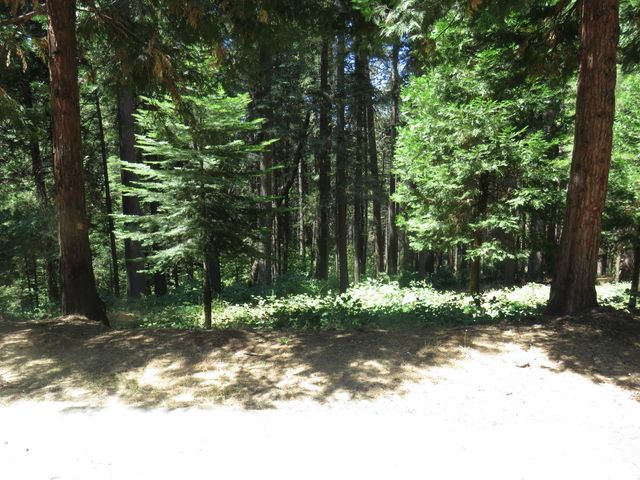 1881 Forebay Rd, Pollock Pines, CA 95726