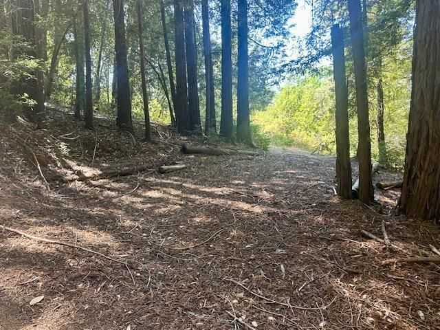 7175 Redwood Retreat, Gilroy, CA 95020