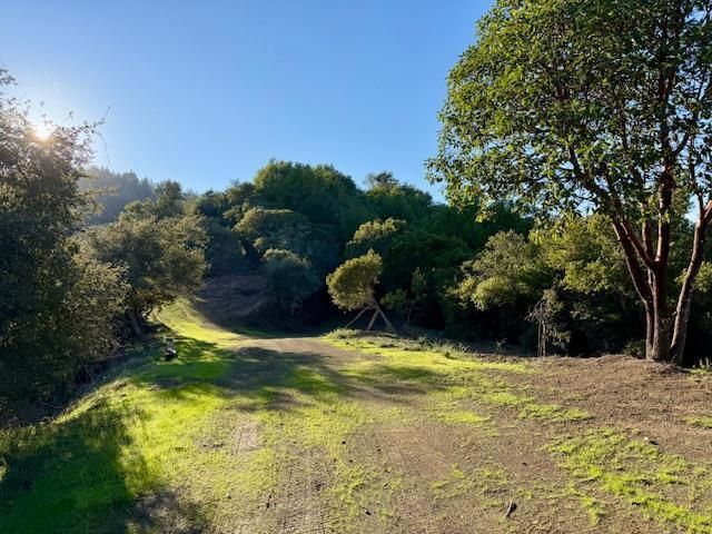 7175 Redwood Retreat, Gilroy, CA 95020