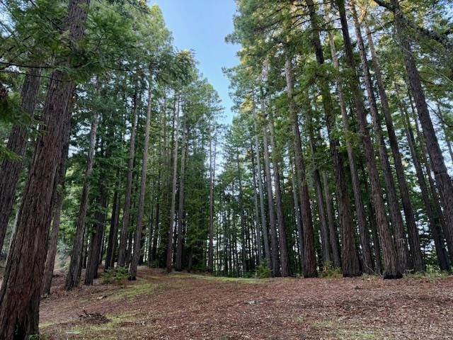 7175 Redwood Retreat, Gilroy, CA 95020