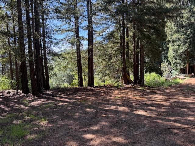 7175 Redwood Retreat, Gilroy, CA 95020