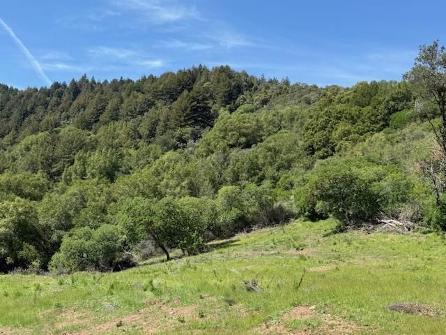 7175 Redwood Retreat, Gilroy, CA 95020