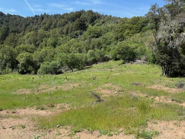 7175 Redwood Retreat, Gilroy, CA 95020