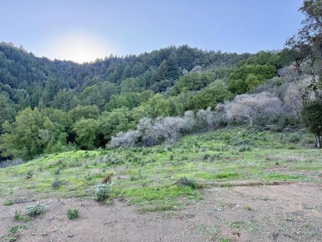 7175 Redwood Retreat, Gilroy, CA 95020