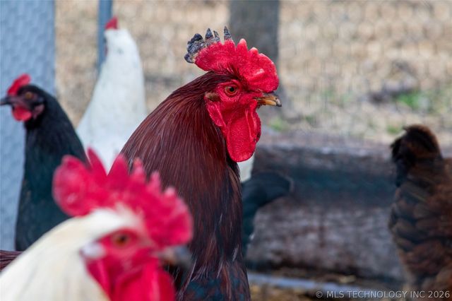 17810 Harreld Road, Beggs, OK 74421