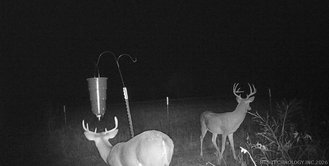 17810 Harreld Road, Beggs, OK 74421