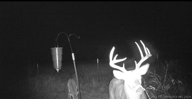 17810 Harreld Road, Beggs, OK 74421