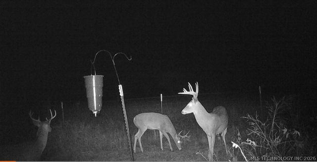 17810 Harreld Road, Beggs, OK 74421