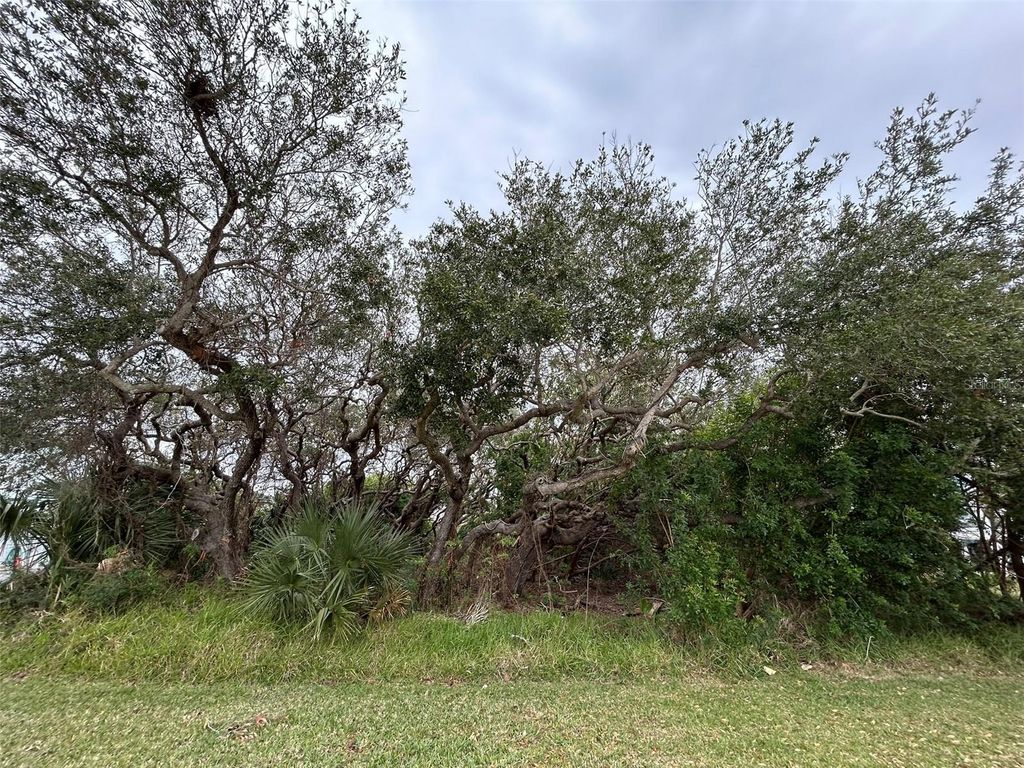 Image 1 of property listing at RIVER ROAD, New Smyrna Beach, FL 32169