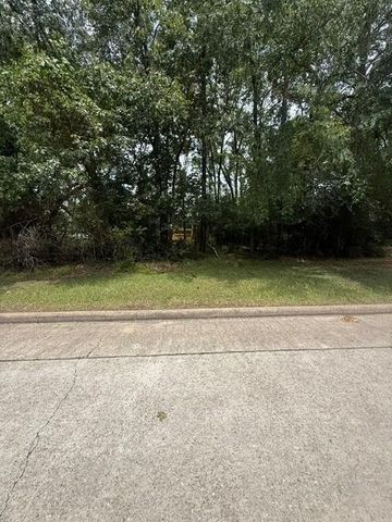 12902 Walden Road, Montgomery, TX 77356