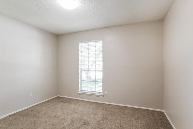 4306 Hickorygate Drive, Spring, TX 77373