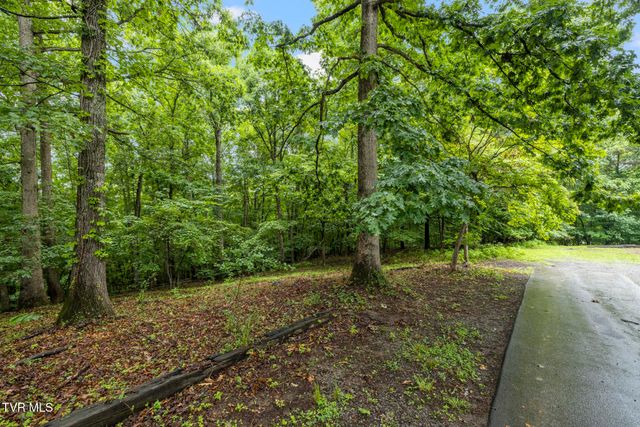 443 Crystal View Street, Kingsport, TN 37660