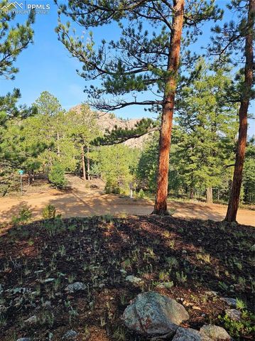 1117 Appleby Drive, Sedalia, CO 80135