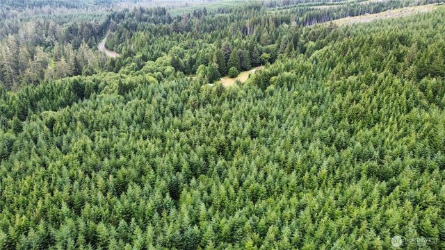 1608 E Hoquiam Road, Hoquiam, WA 98550