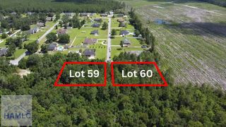 113 Vixenhill Drive, Jesup, GA 31546