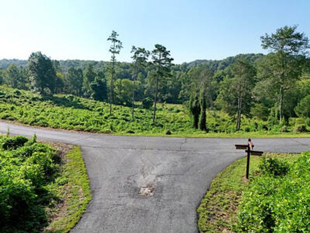 Lot 31 Arbor Creek Trail, Mineral Bluff, GA 30559