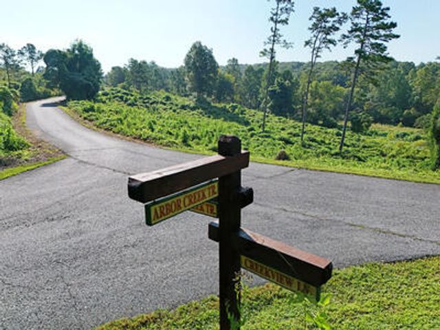 Lot 31 Arbor Creek Trail, Mineral Bluff, GA 30559