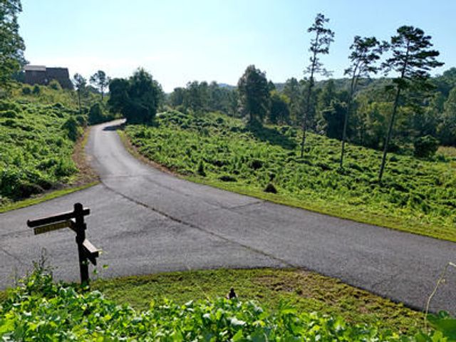 Lot 31 Arbor Creek Trail, Mineral Bluff, GA 30559