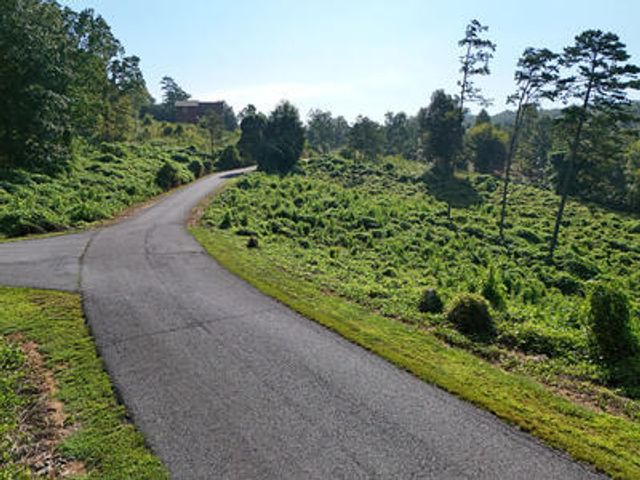 Lot 31 Arbor Creek Trail, Mineral Bluff, GA 30559