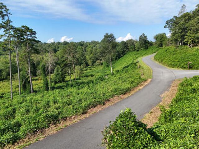 Lot 31 Arbor Creek Trail, Mineral Bluff, GA 30559