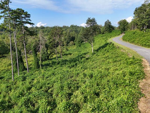 Lot 31 Arbor Creek Trail, Mineral Bluff, GA 30559