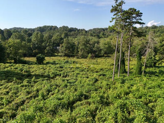 Lot 31 Arbor Creek Trail, Mineral Bluff, GA 30559