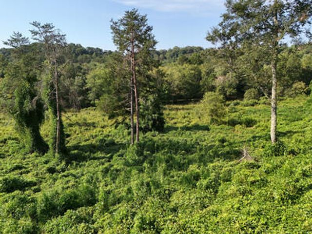 Lot 31 Arbor Creek Trail, Mineral Bluff, GA 30559