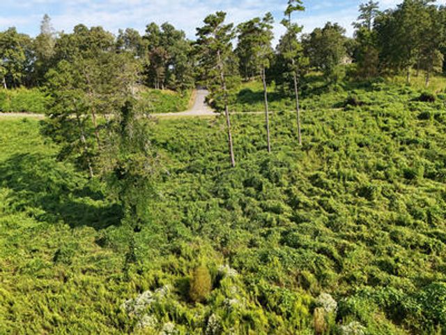Lot 31 Arbor Creek Trail, Mineral Bluff, GA 30559
