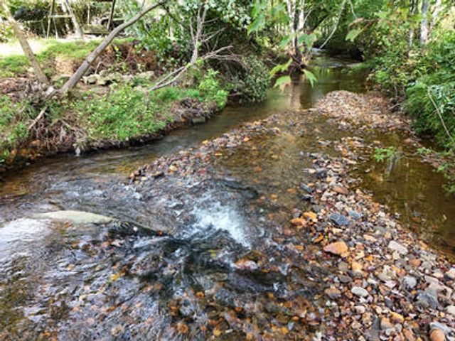 Lot 31 Arbor Creek Trail, Mineral Bluff, GA 30559