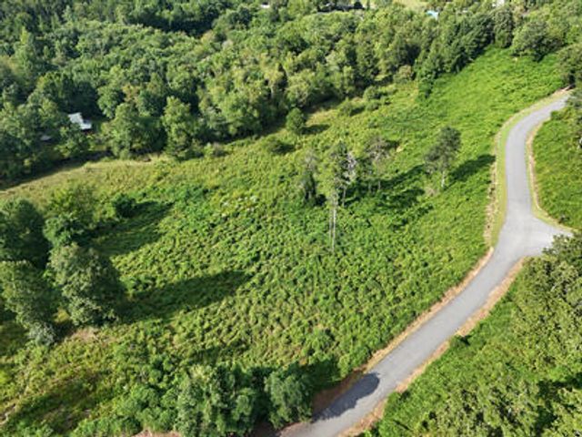Lot 31 Arbor Creek Trail, Mineral Bluff, GA 30559