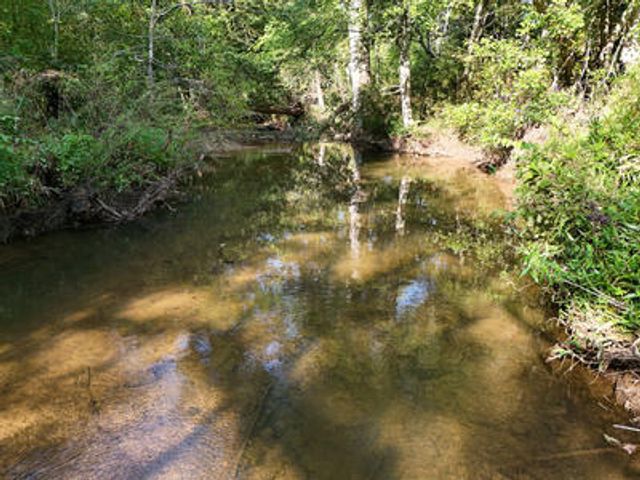 Lot 31 Arbor Creek Trail, Mineral Bluff, GA 30559