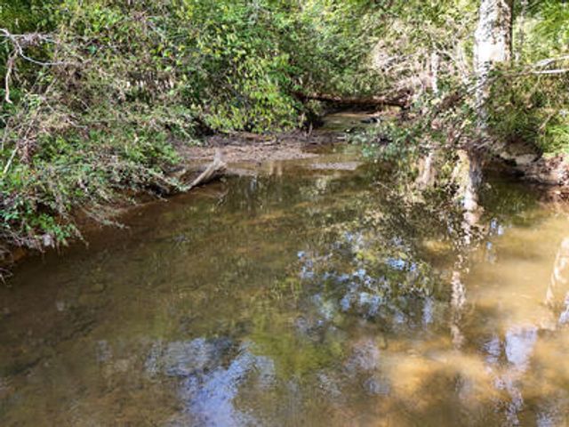 Lot 31 Arbor Creek Trail, Mineral Bluff, GA 30559