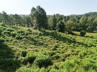 Lot 31 Arbor Creek Trail, Mineral Bluff, GA 30559